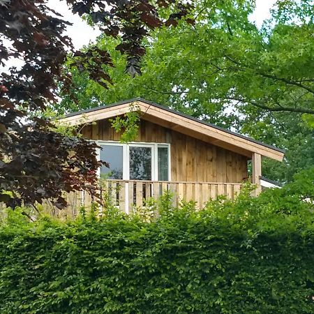 Ferienwohnung Landgoed Wittelte Dwingeloo Exterior foto