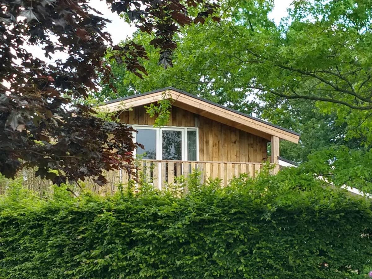 Ferienwohnung Landgoed Wittelte Dwingeloo Exterior foto