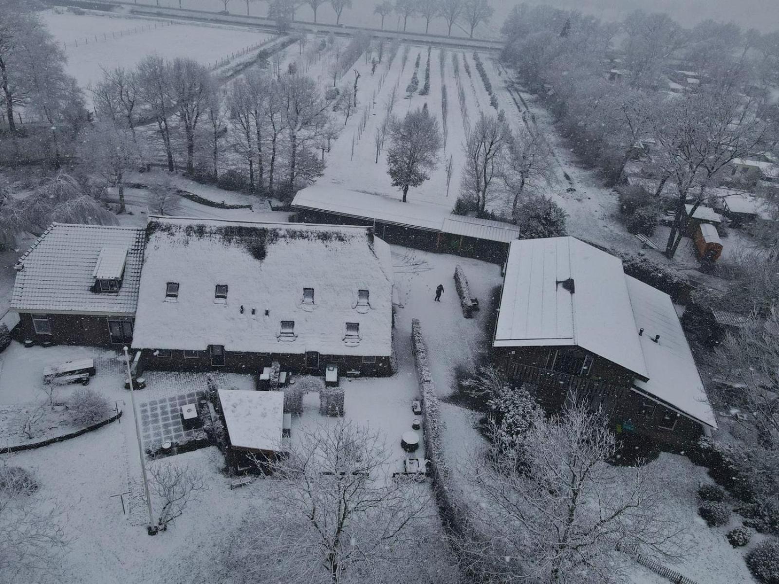 Ferienwohnung Landgoed Wittelte Dwingeloo Exterior foto