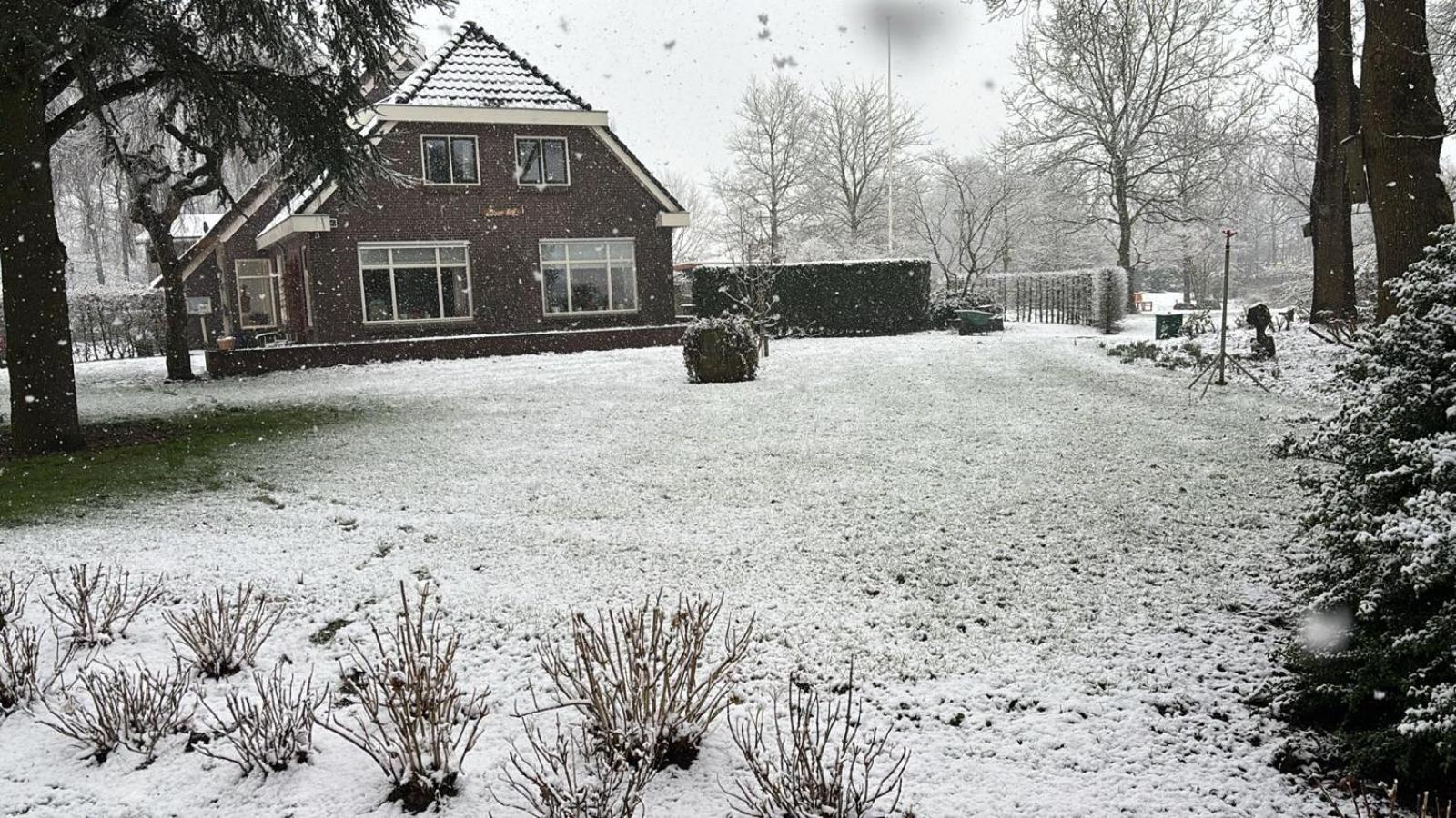 Ferienwohnung Landgoed Wittelte Dwingeloo Exterior foto