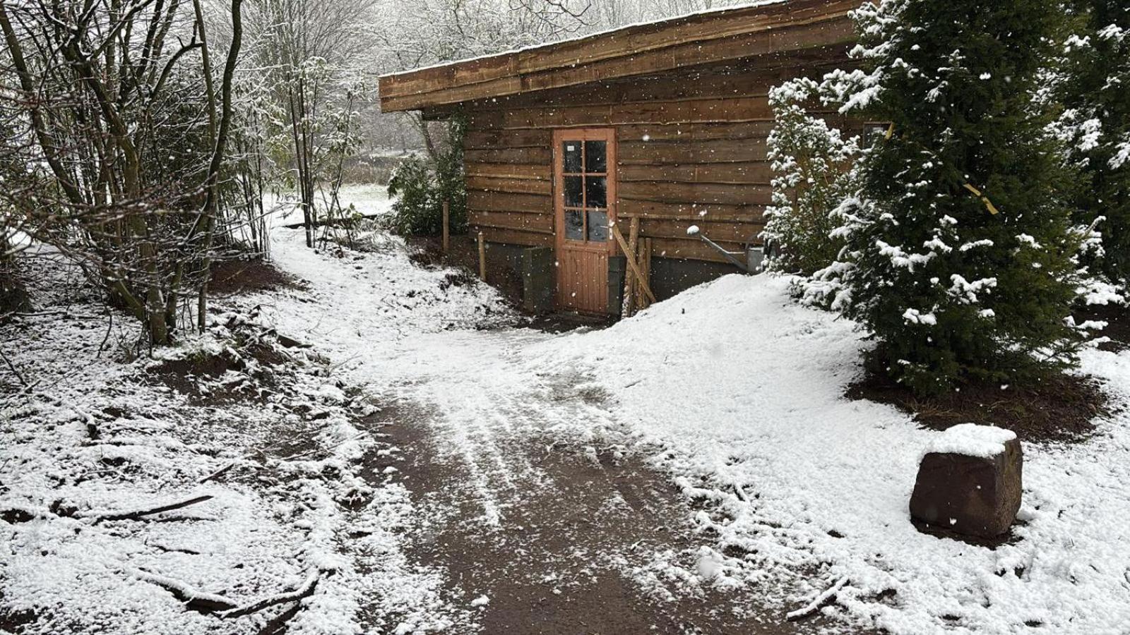 Ferienwohnung Landgoed Wittelte Dwingeloo Exterior foto